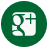 Google+ Icon