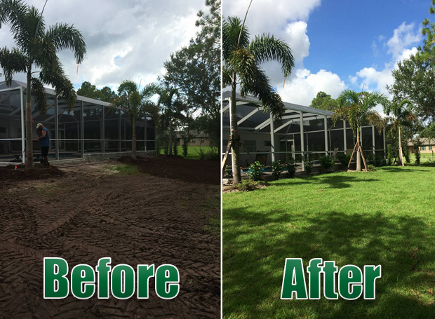 ABOUT TerraScapes